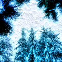 Winter in Washington