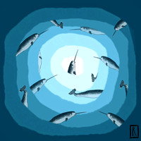 Narwhals